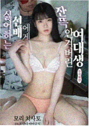 欧美剧集长夜信号封面